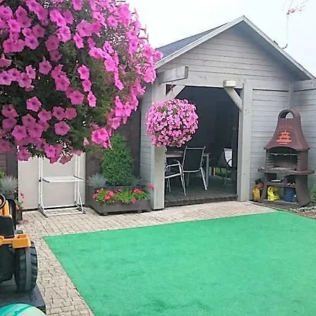 Homestay Ostryga