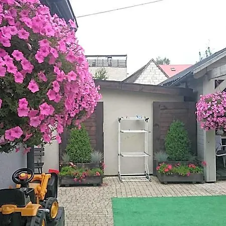 Ostryga Homestay *